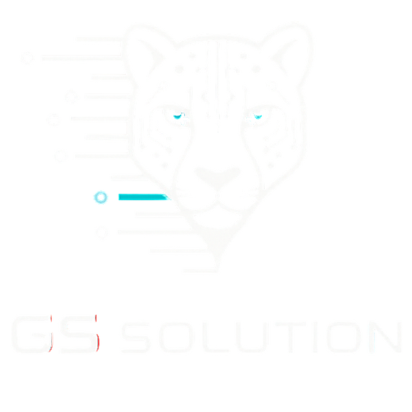 Gs Solution 